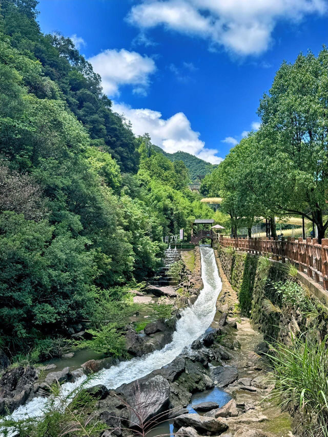 杭州寶子私藏的漂流！我挖到寶啦💦