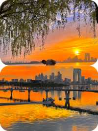 蘇州 睇海 吹風
