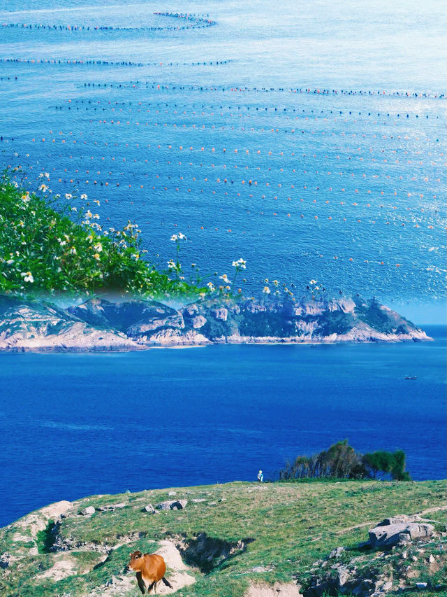 福建台山島