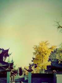 *【尋幽訪勝：江蘇東台泰山寺的禪意時光】**  