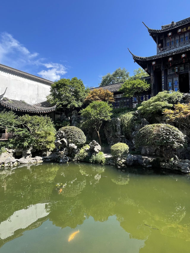 【蘇杭本地團 | 人均600玩盡蘇杭】
🔥【蘇杭本地團 | 人均1000➕玩盡蘇杭】