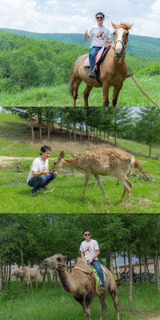 Chengde Fengning Bashang Colorful Forest, a must-visit for adventure seekers!