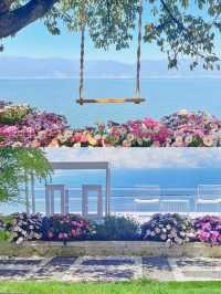 奔赴風花雪月洱海超全遊玩攻略