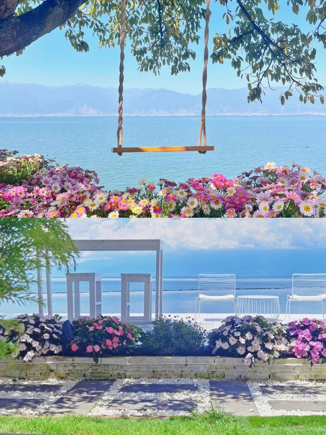 奔赴風花雪月洱海超全遊玩攻略