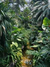 南昌珍奇植物園影相封神攻略！3大溫室，避開99%遊客相