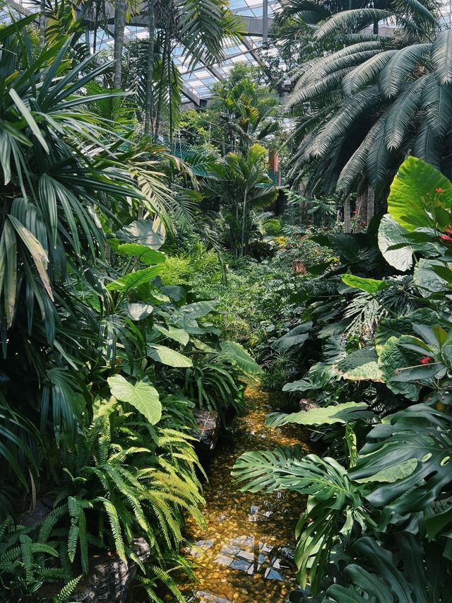 南昌珍奇植物園影相封神攻略！3大溫室，避開99%遊客相