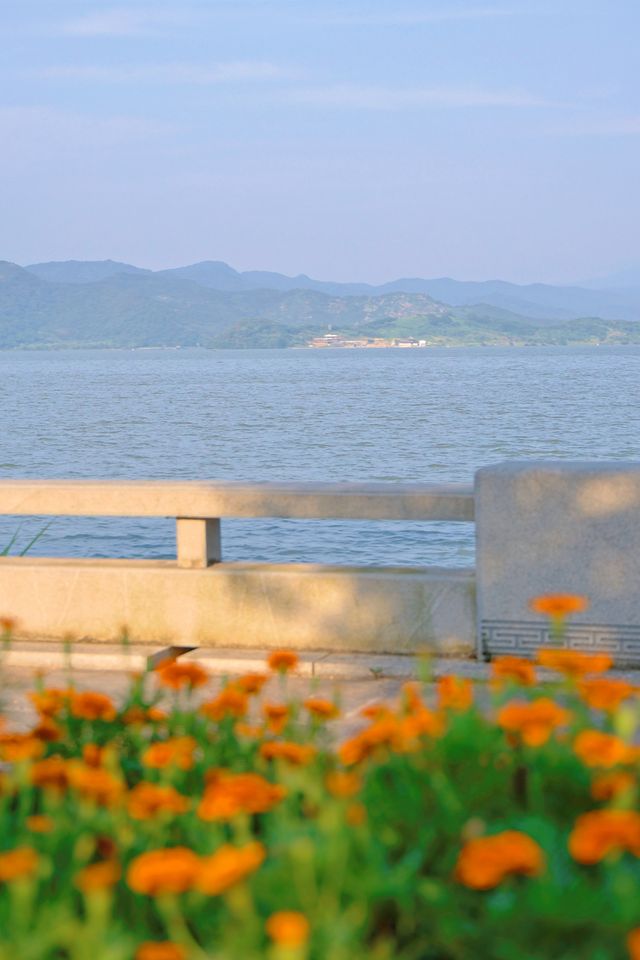 邂逅寧波「小普陀」，展開藍綠交織嘅治癒之旅