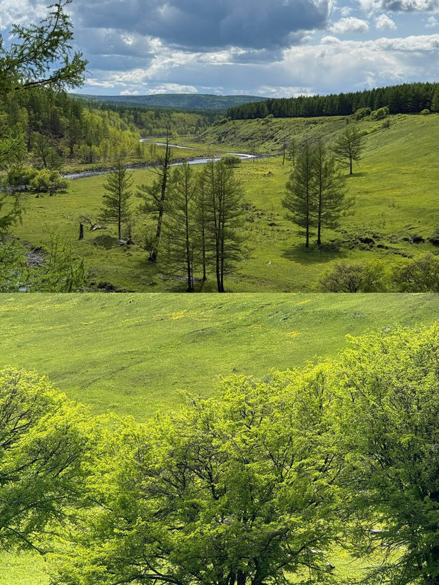 阿爾山旅遊攻略：邂逅北疆嘅夢幻之境