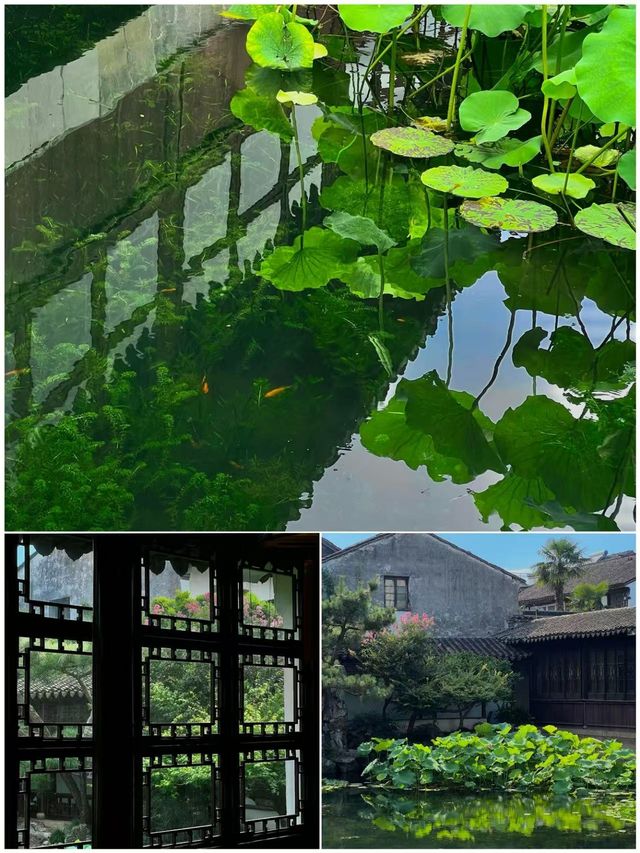蘇州玩咗3日，我嘅消費觀崩塌咗