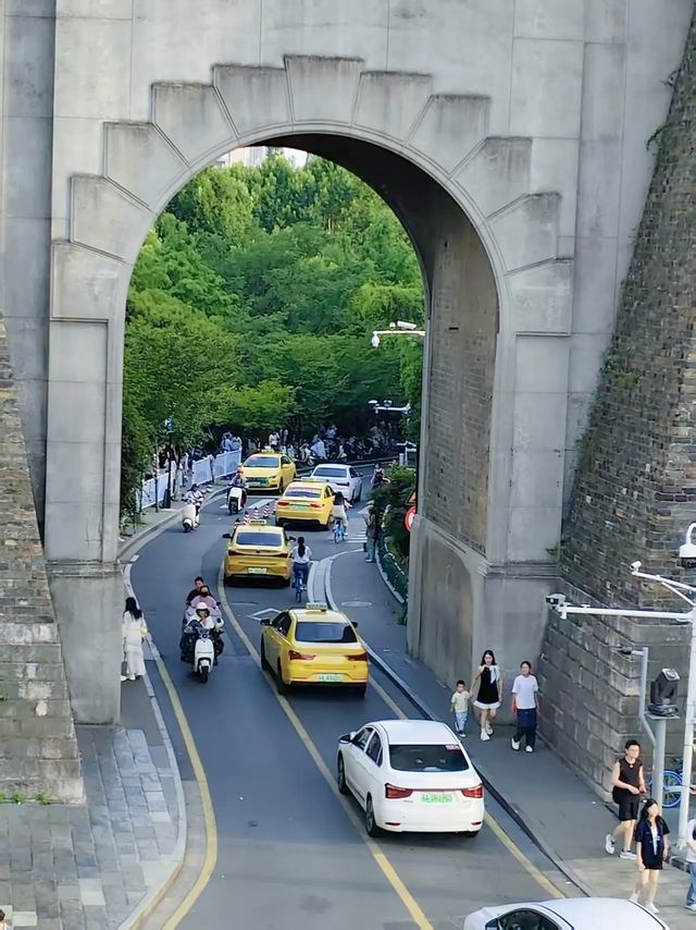 梧桐大道旅遊攻略