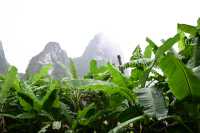 雲霧山中起，仙境數十里！