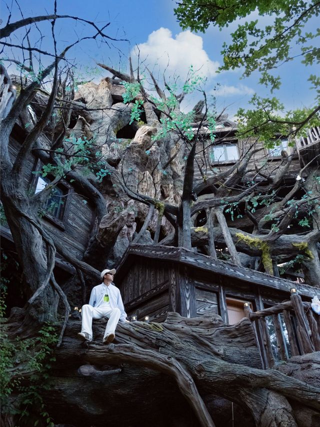 28℃避暑天堂！舟山長喬海洋館2日1夜全攻略