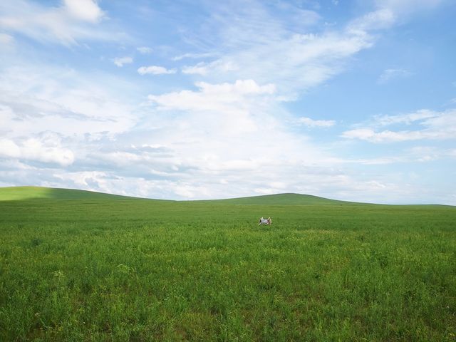 7月呼倫貝爾大環線真實體驗及感受分享