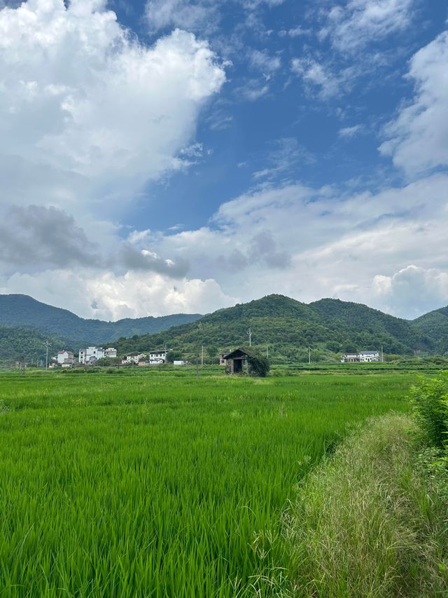 婺源遊山村｜千窗漏月噬龍脊 一溪浮燈鎖商魂