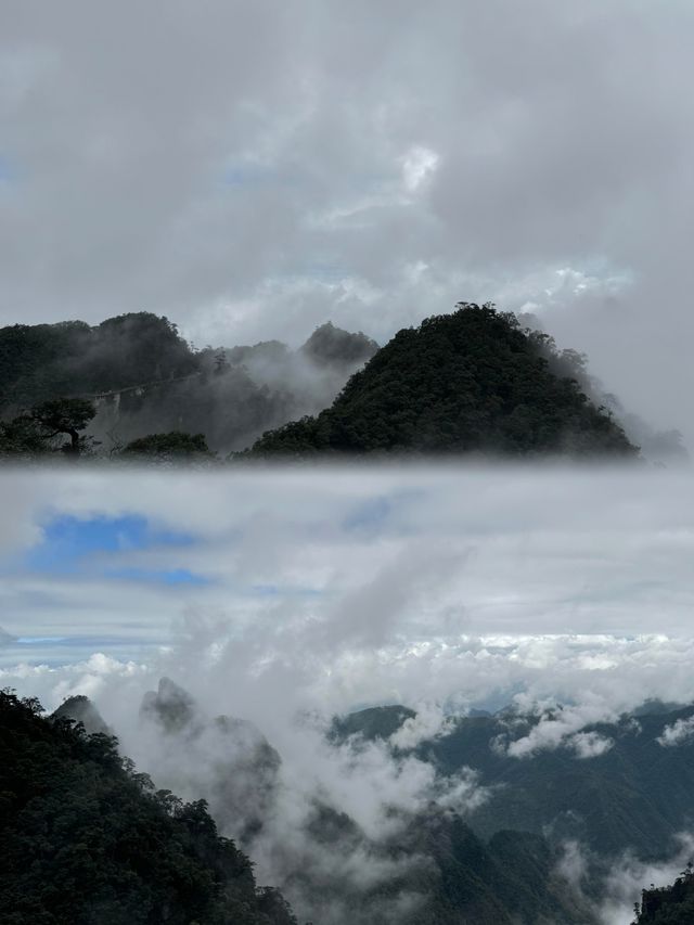 莽山索道直達仙境！雲海之上漫步，呢份攻略收好唔該！