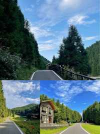 重慶武陵山：一場穿越時空的避暑奇幻之旅 