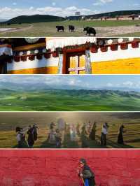 暑期旅遊｜甘南路線推薦+攻略