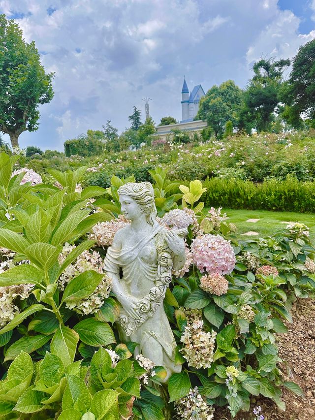 7月🪻春城點可以唔去花園影相昆明小唐頓