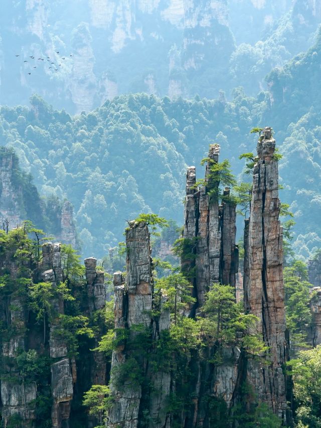 張家界避暑秘境全息地圖