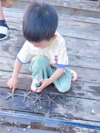 暑假最適合親子遊嘅城市終於出現咗