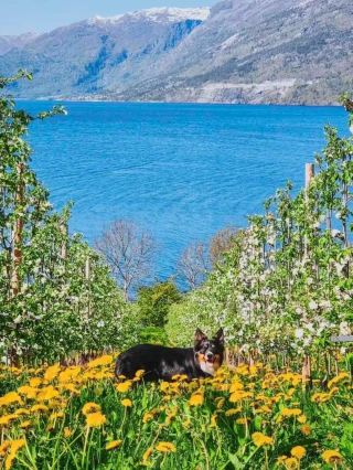 8-Day Norway Tour | Ultimate Adventure