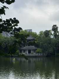 🌧️ 柳州人才懂的雨天浪漫！柳侯公園餵魚賞雨秘境大公開