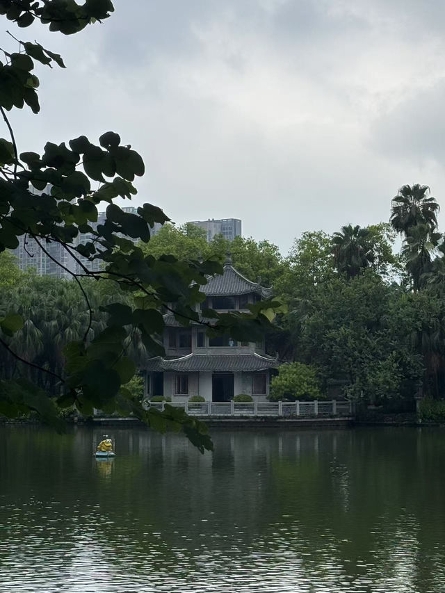 🌧️ 柳州人才懂的雨天浪漫！柳侯公園餵魚賞雨秘境大公開