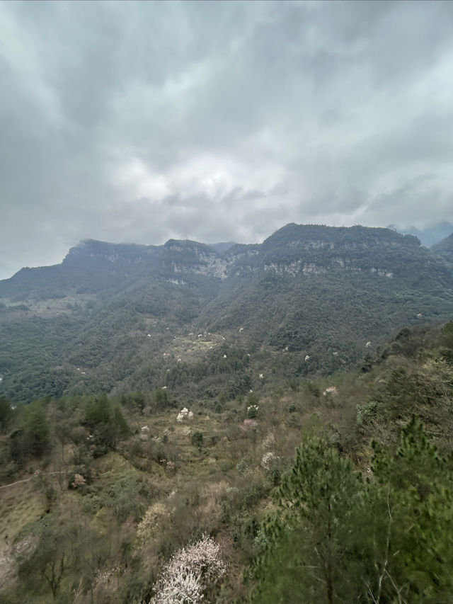 雲渝貴