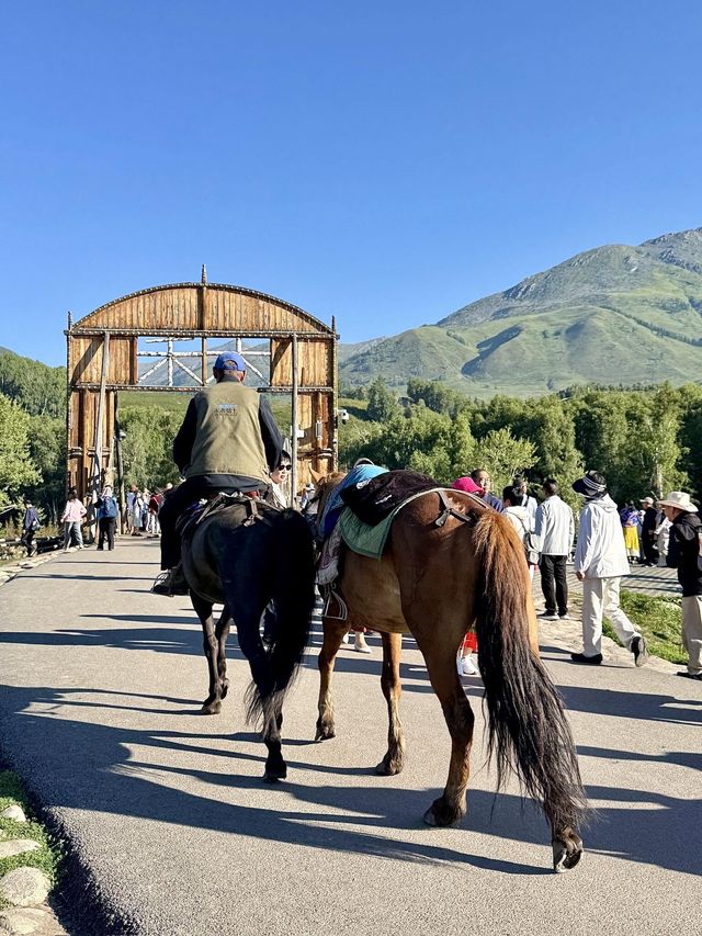 來新疆阿勒泰!我只去這三個地方!!! 來新疆阿勒泰!我只去這三個地方!!!