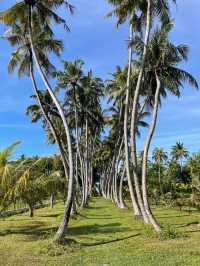 Enchanting Stay at Villa Park Resort