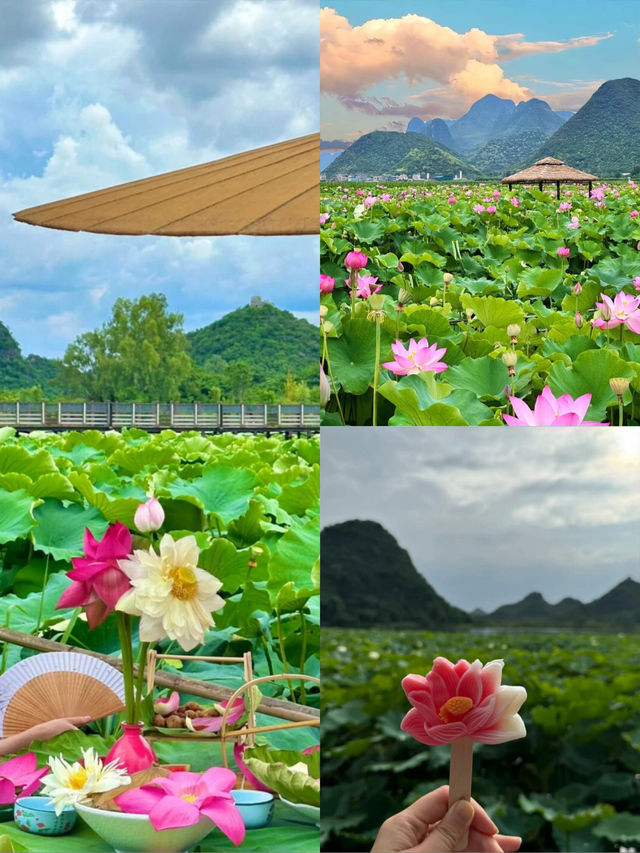 以為廣西很美了，直到帶娃去了普者黑