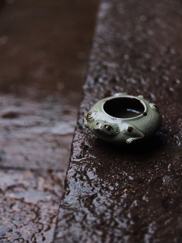 秋雨落陽明，廊下聽禪音