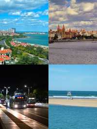 九月煙台終極攻略 | 秋日海風、粉黛花海與海鮮盛宴