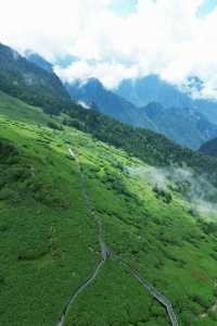 進山避暑，湖北首選秘境神農架