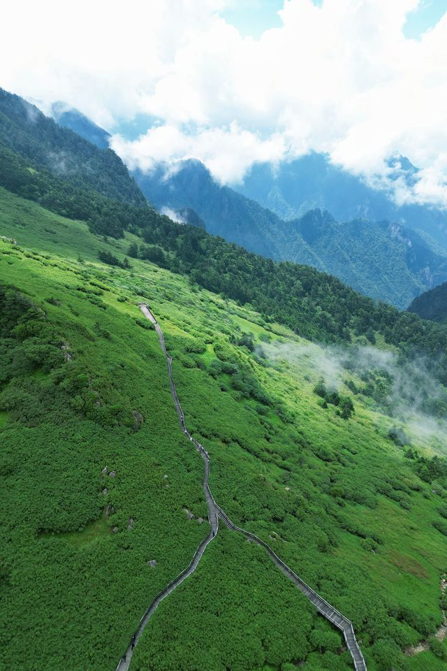 進山避暑，湖北首選秘境神農架