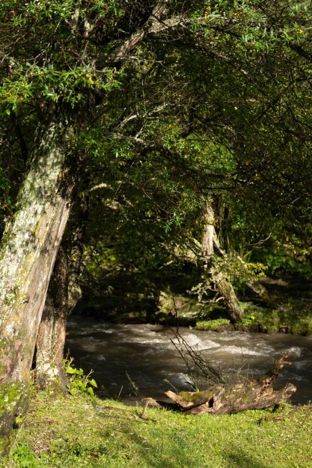 住進四姑娘山油畫裡的莊園！美到窒息！