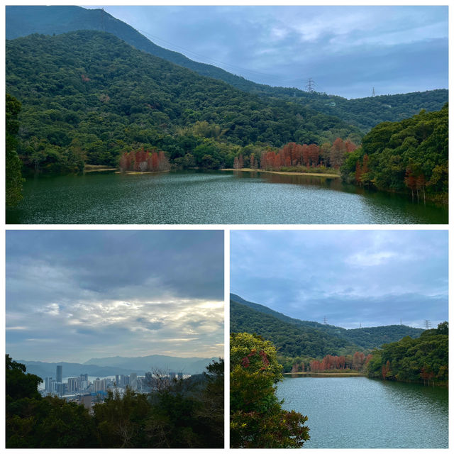 深圳恩上水庫｜藏在市區的「小瑞士」，漫步湖光山色超治愈🌿