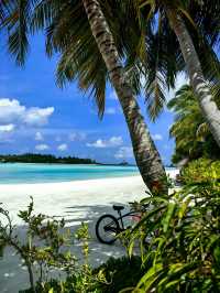 Returning Delight at Anantara Dhigu Maldives