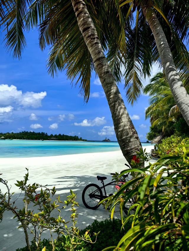 Returning Delight at Anantara Dhigu Maldives
