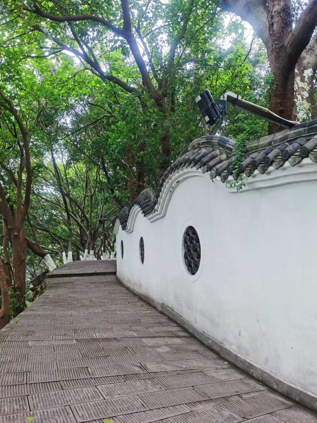 重慶照母山森林公園:山城之上的自然詩篇 重慶照母山森林公園:山城之上的自然詩篇