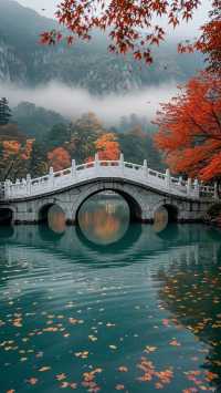 蓬萊飄落的人間