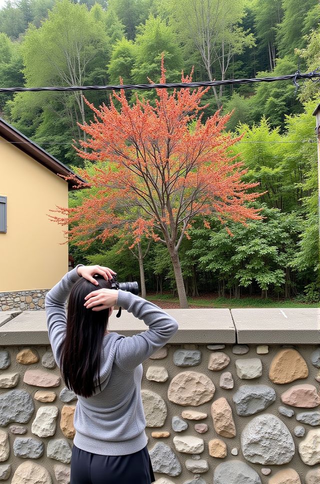 紅柿滿山的600年古村，終於迎來熱度！