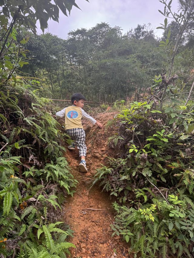 野放的一家|青山村徒步