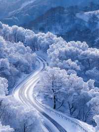 亞雪公路裹雪帶鬆如絲帶，一路風光醉人心