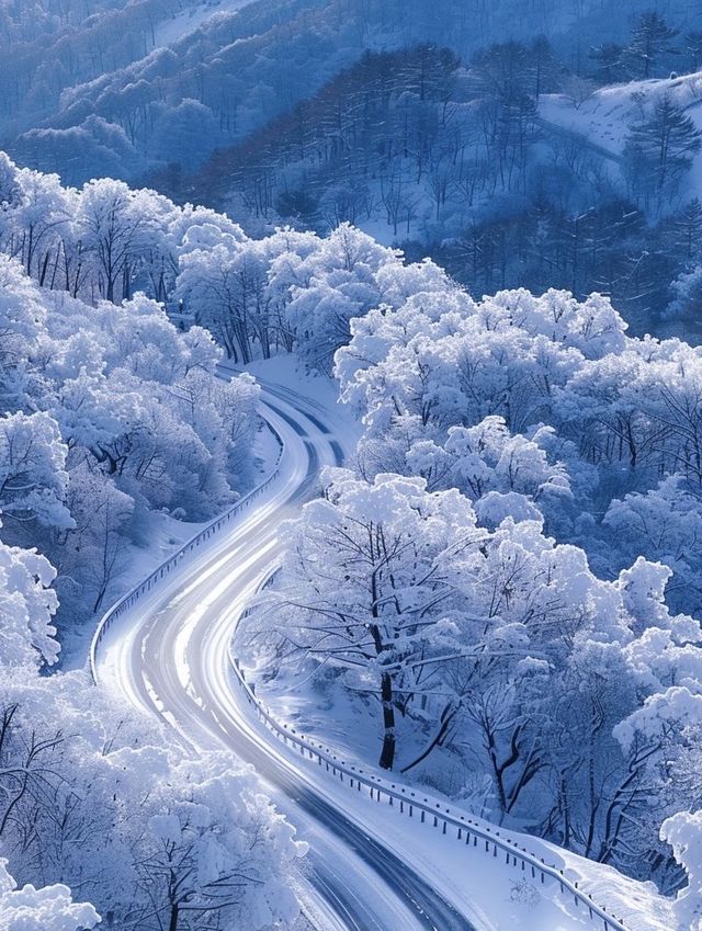 亞雪公路裹雪帶鬆如絲帶，一路風光醉人心