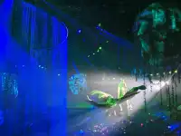 逃離上海，來太湖龍之夢過週末啦