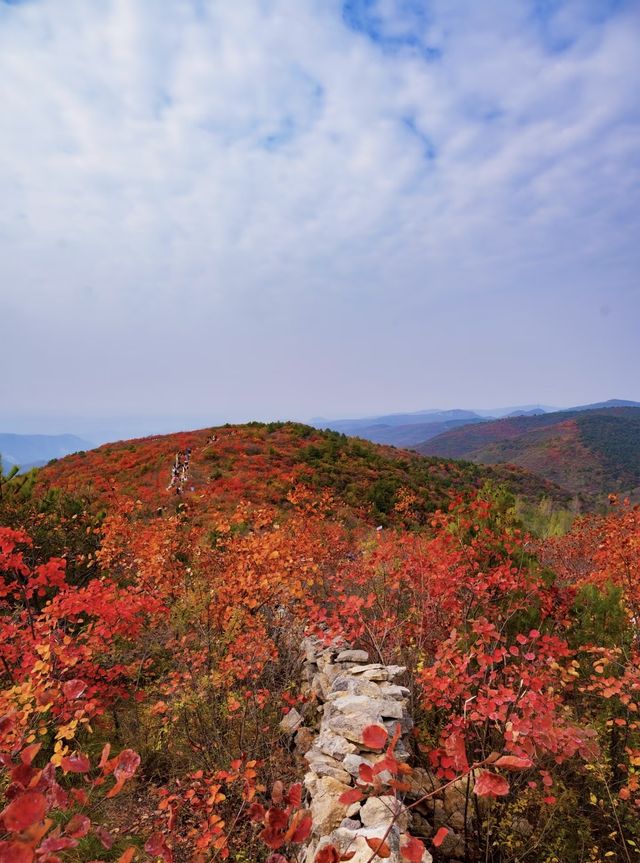 阜平山的深秋美景解鎖啦｜把北方的美景變成了油畫