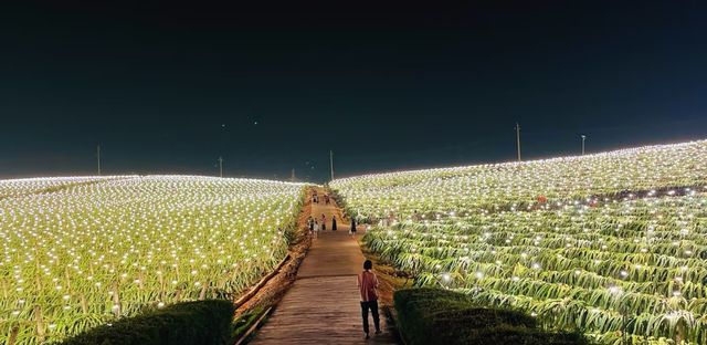 【南寧周邊1h】在廣西，發現一片掉落地上的星星