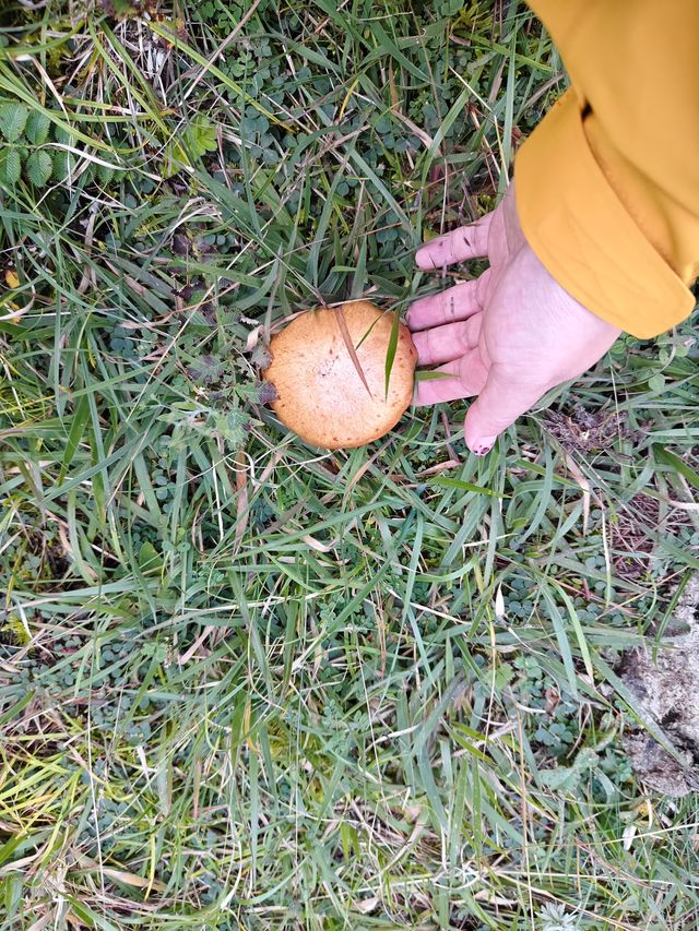 集裝箱露營新玩法