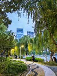 合肥天鵝湖｜暮色時分邂逅城市浪漫天際線